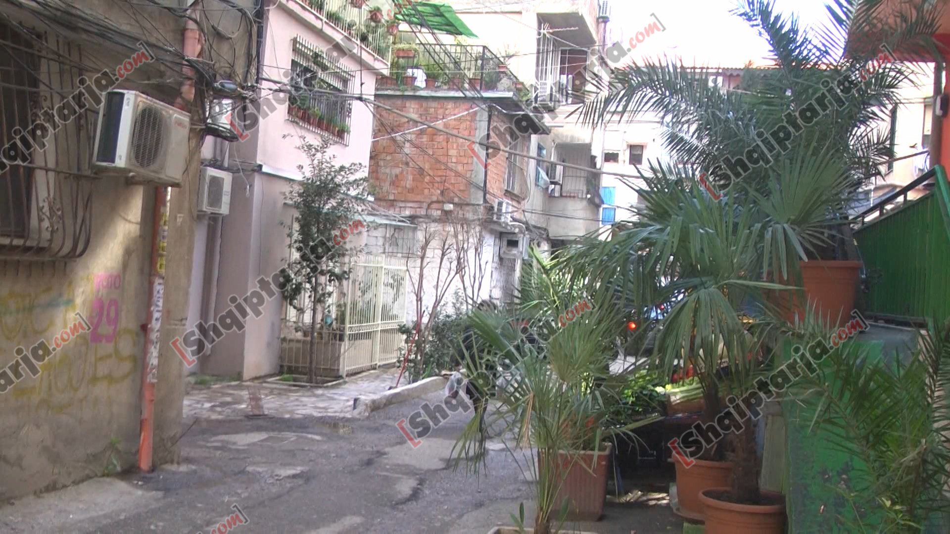 ajet zeqaj bllok zona