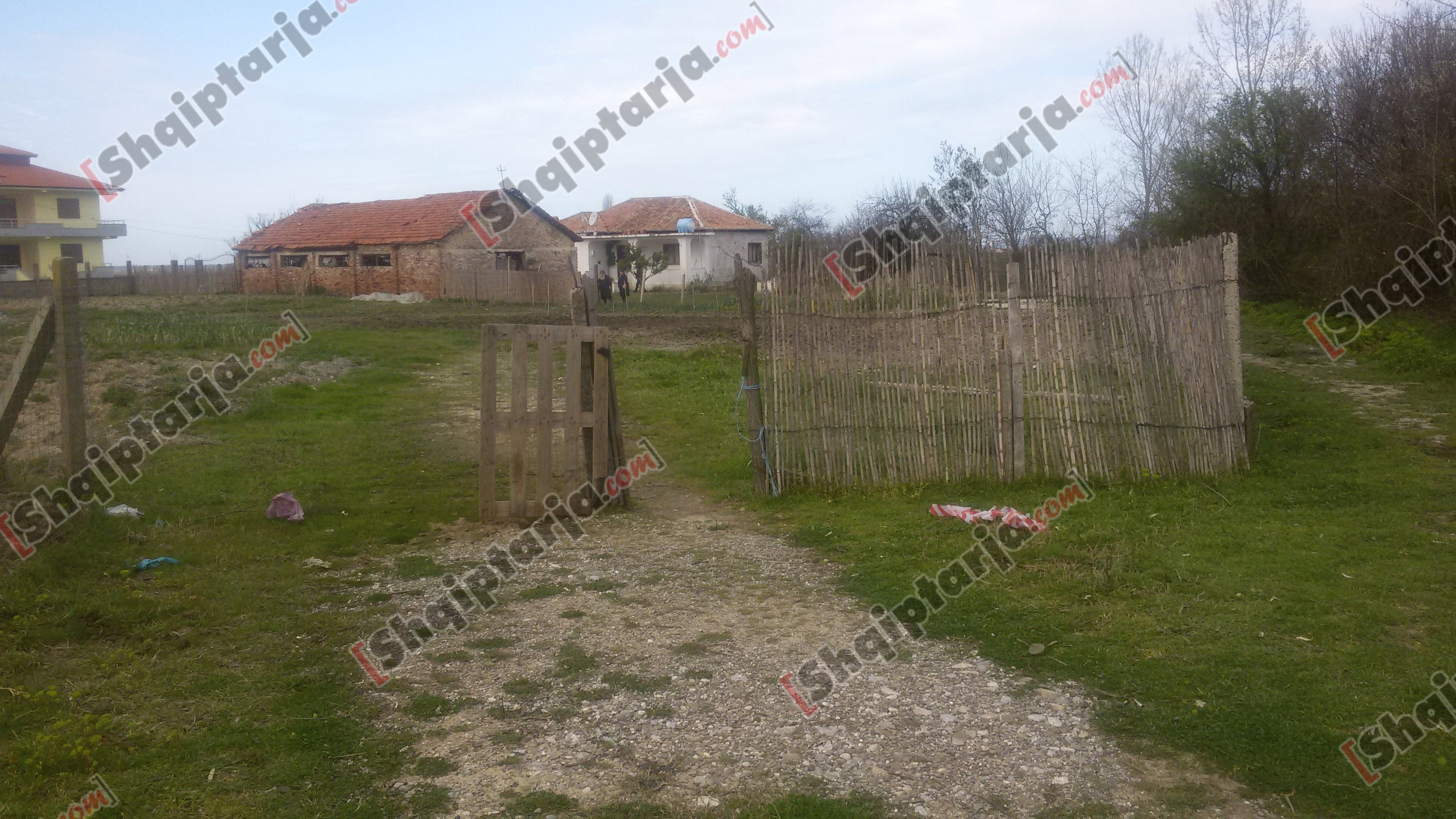 foto vrasja durres manez