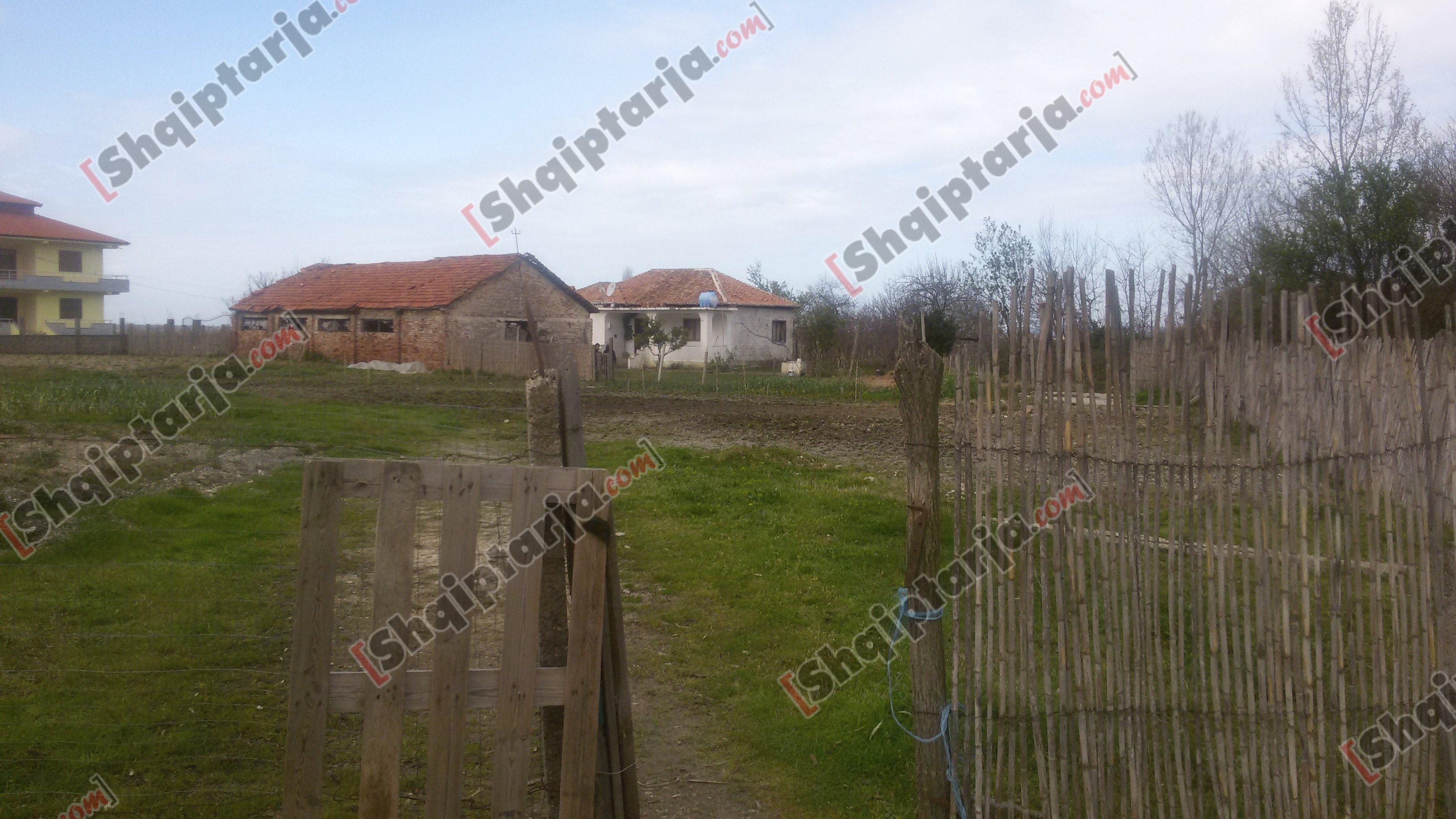 foto vrasja durres manez