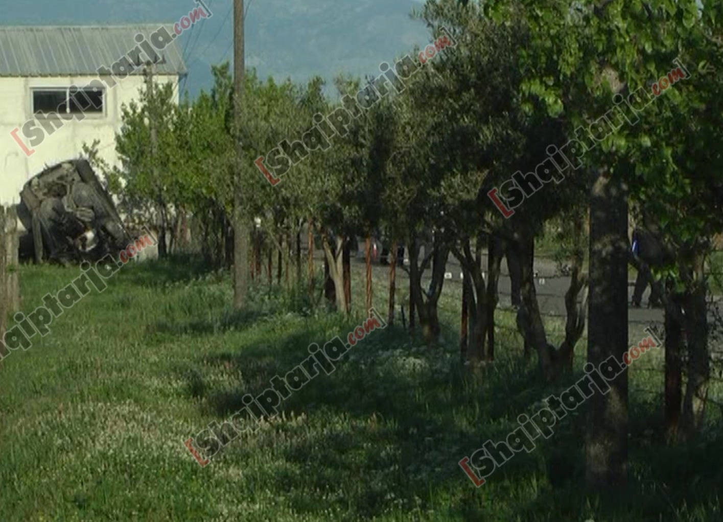 aksidenti shkoder me logo