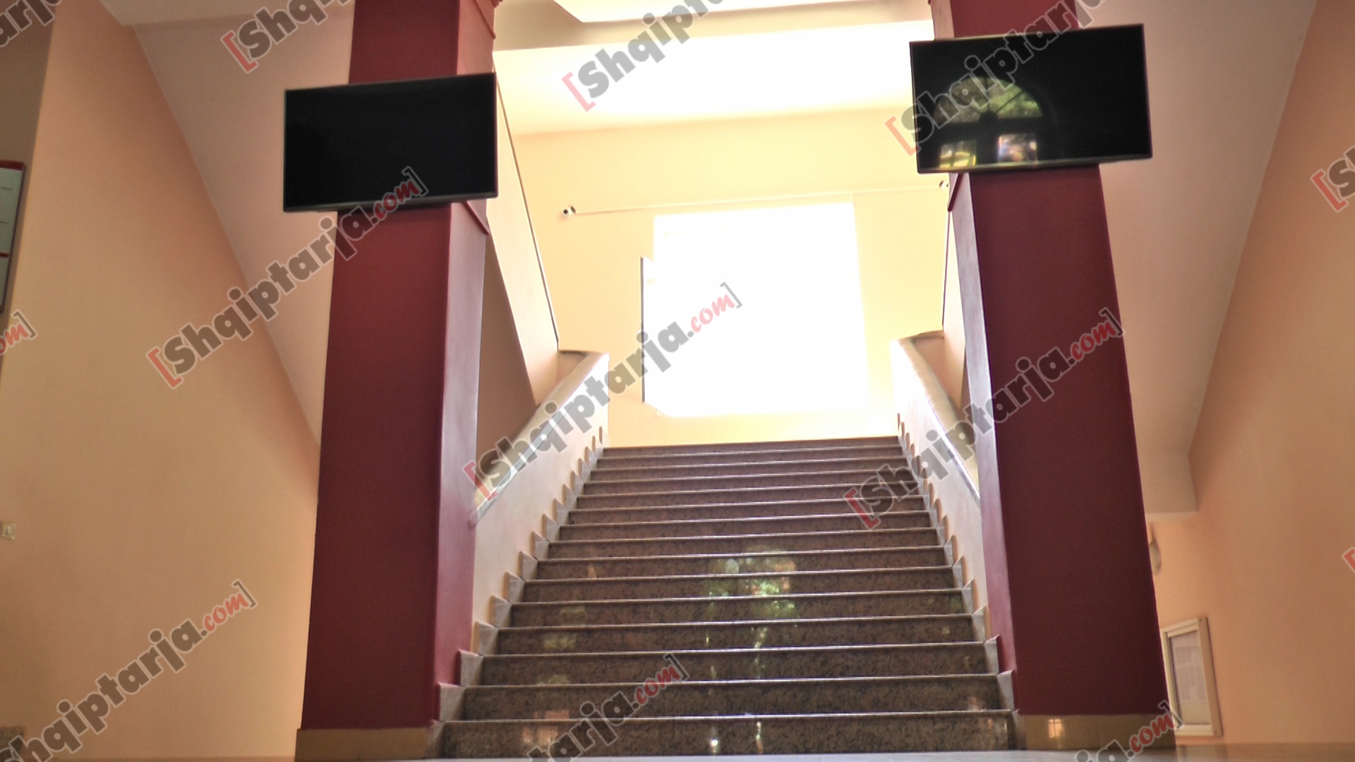 klodeta dibra shkencat natyrore