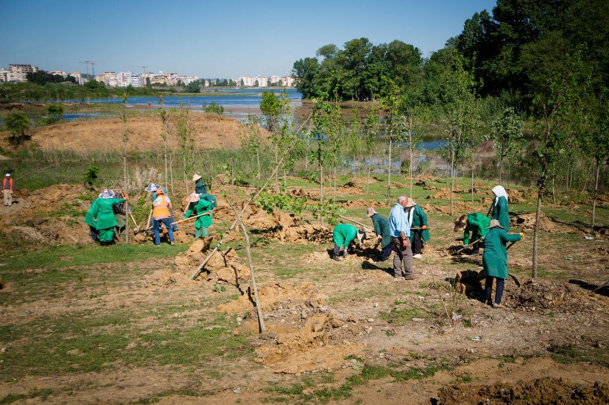 mbjell peme bashkai veliaj