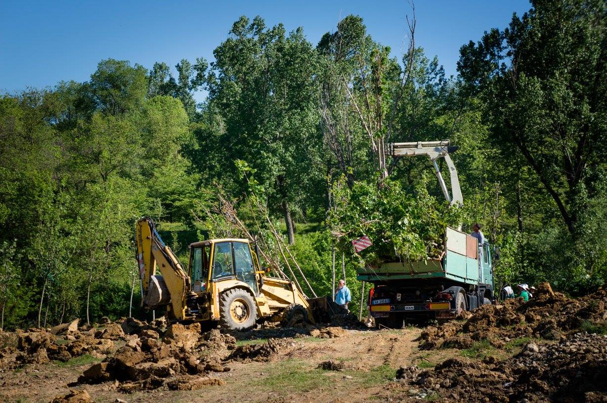 mbjell peme bashkai veliaj