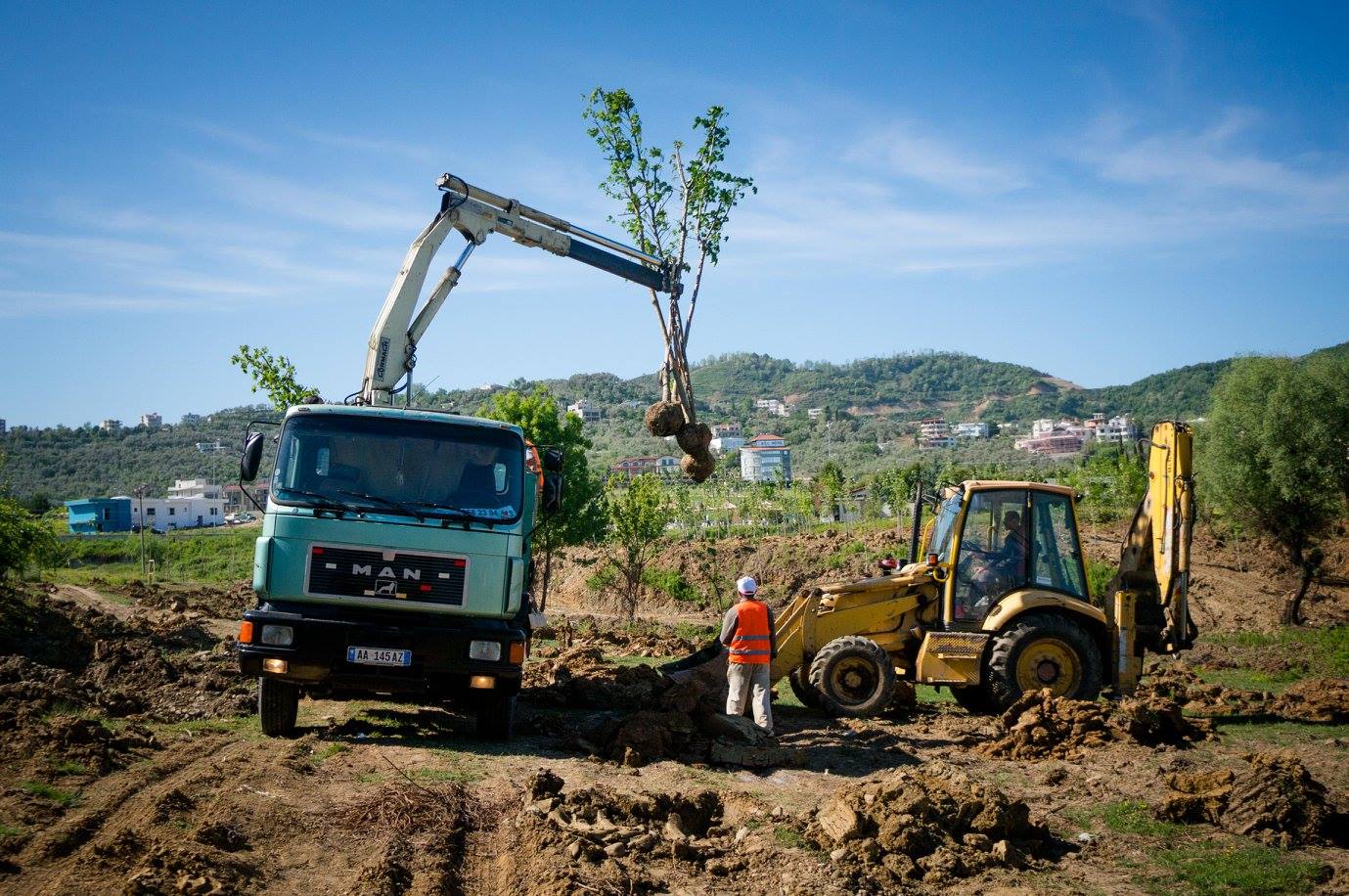 mbjell peme bashkai veliaj