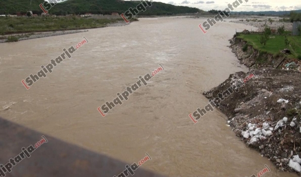 mbytet peshkatari ne elbasan