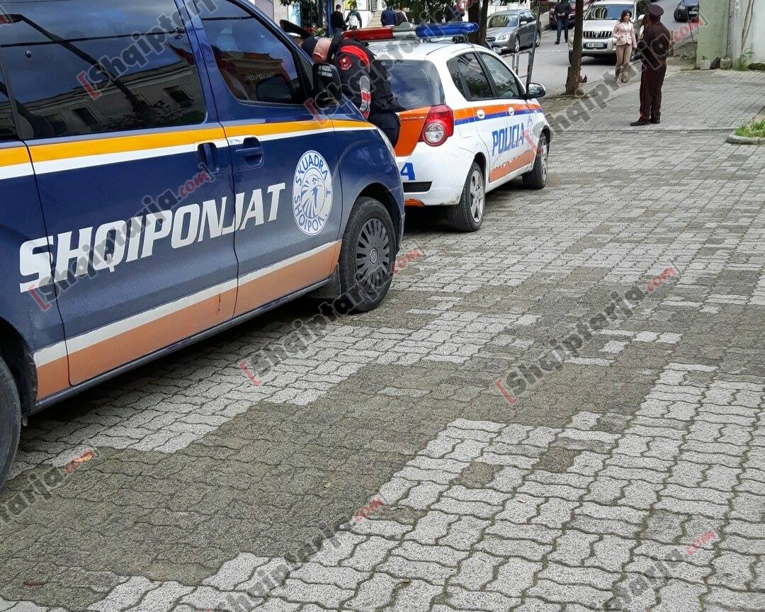 krimet e renda policia