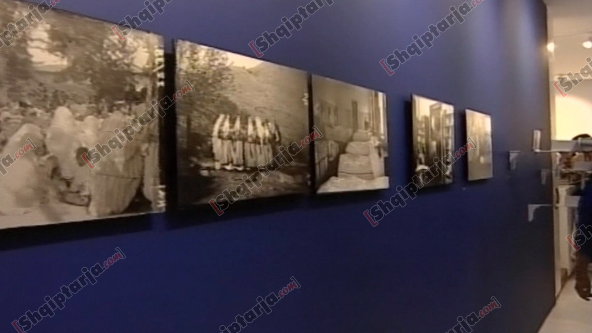 celet marubi shkoder