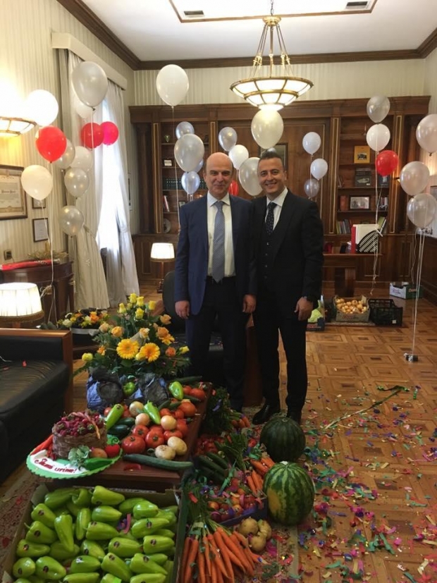 ditelindja e panaritit