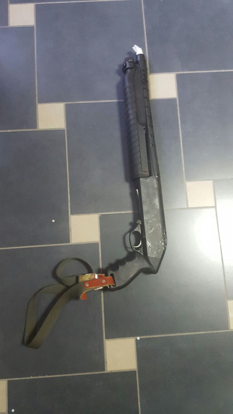 shotgun plagosja shengjin