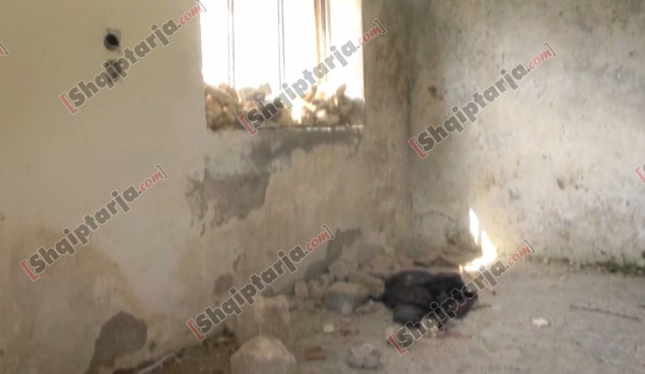 qendra shendetesore tepelene