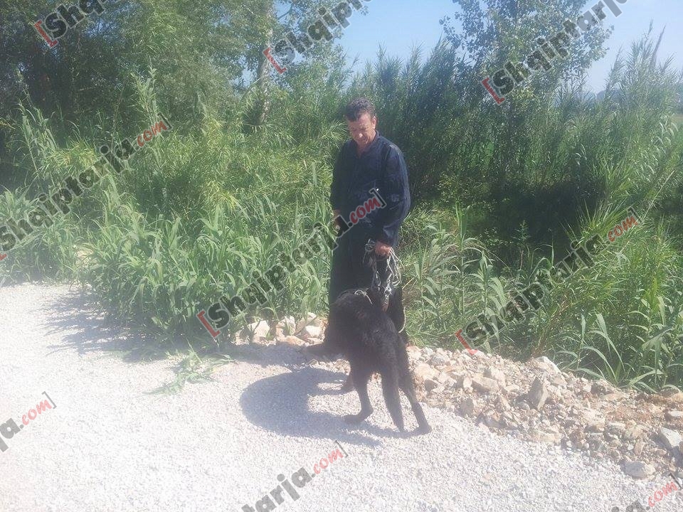 makina e djegur nga grabitja rinas