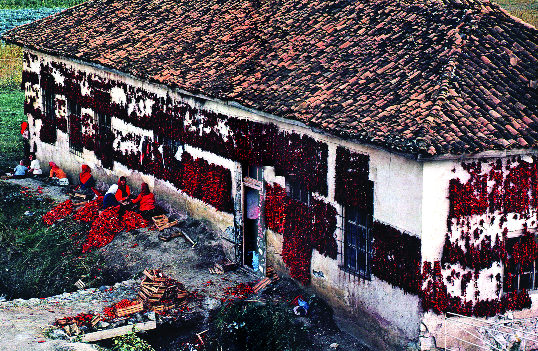 National Geographic  (10)