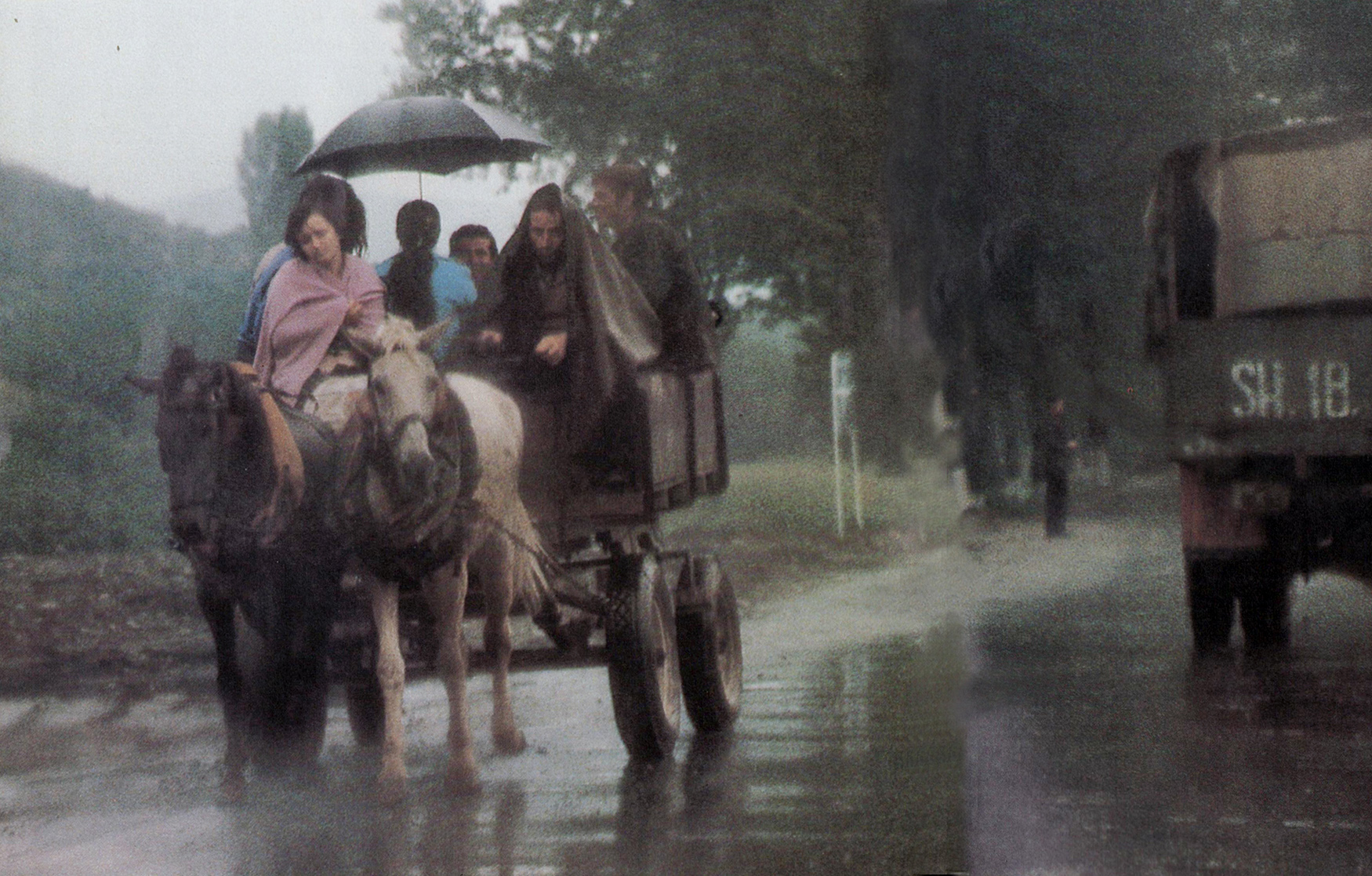 National Geographic  (14)