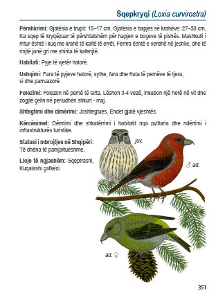 udhezuesi i shpendeve