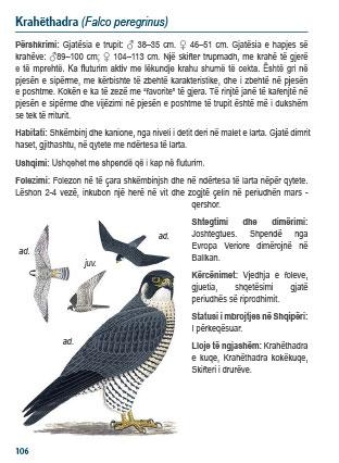 udhezuesi i shpendeve