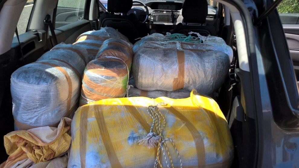 800 kg marijuana ne itali