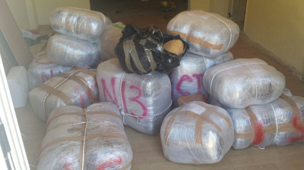 800 kg marijuana ne itali