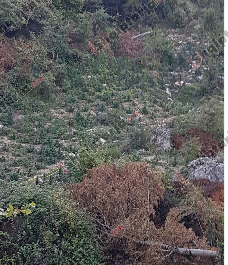 fushat korrje djegie