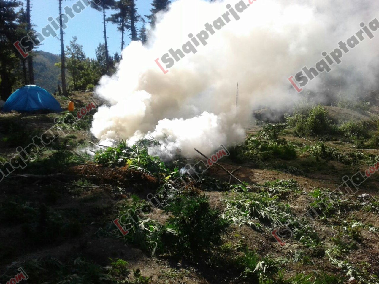 fushat korrje djegie