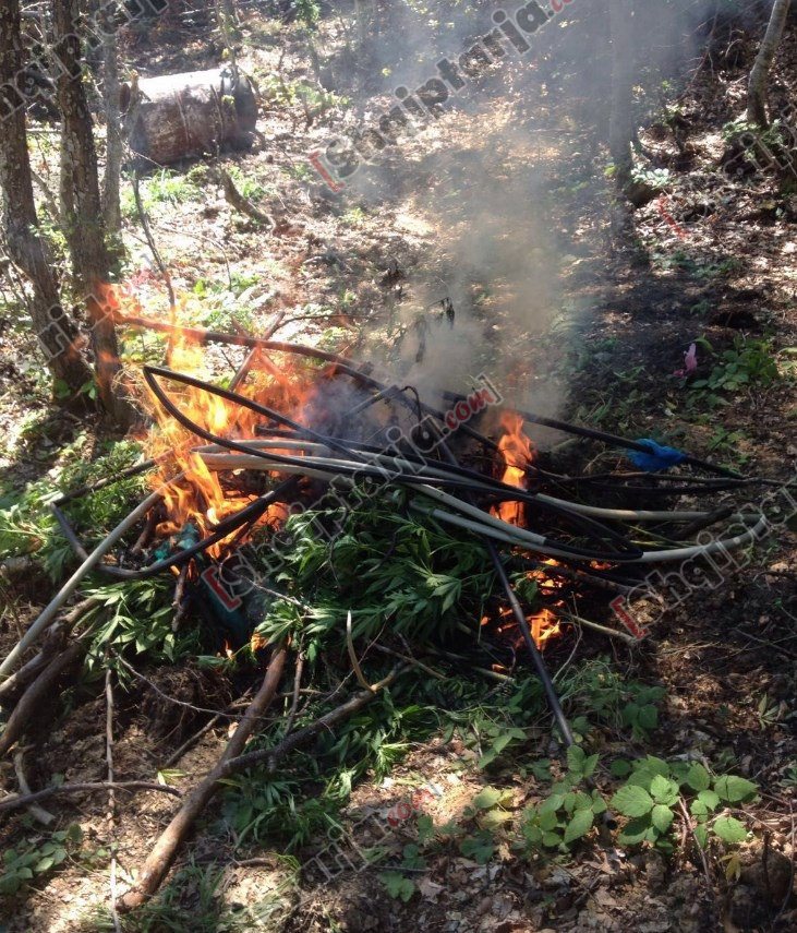 fushat korrje djegie