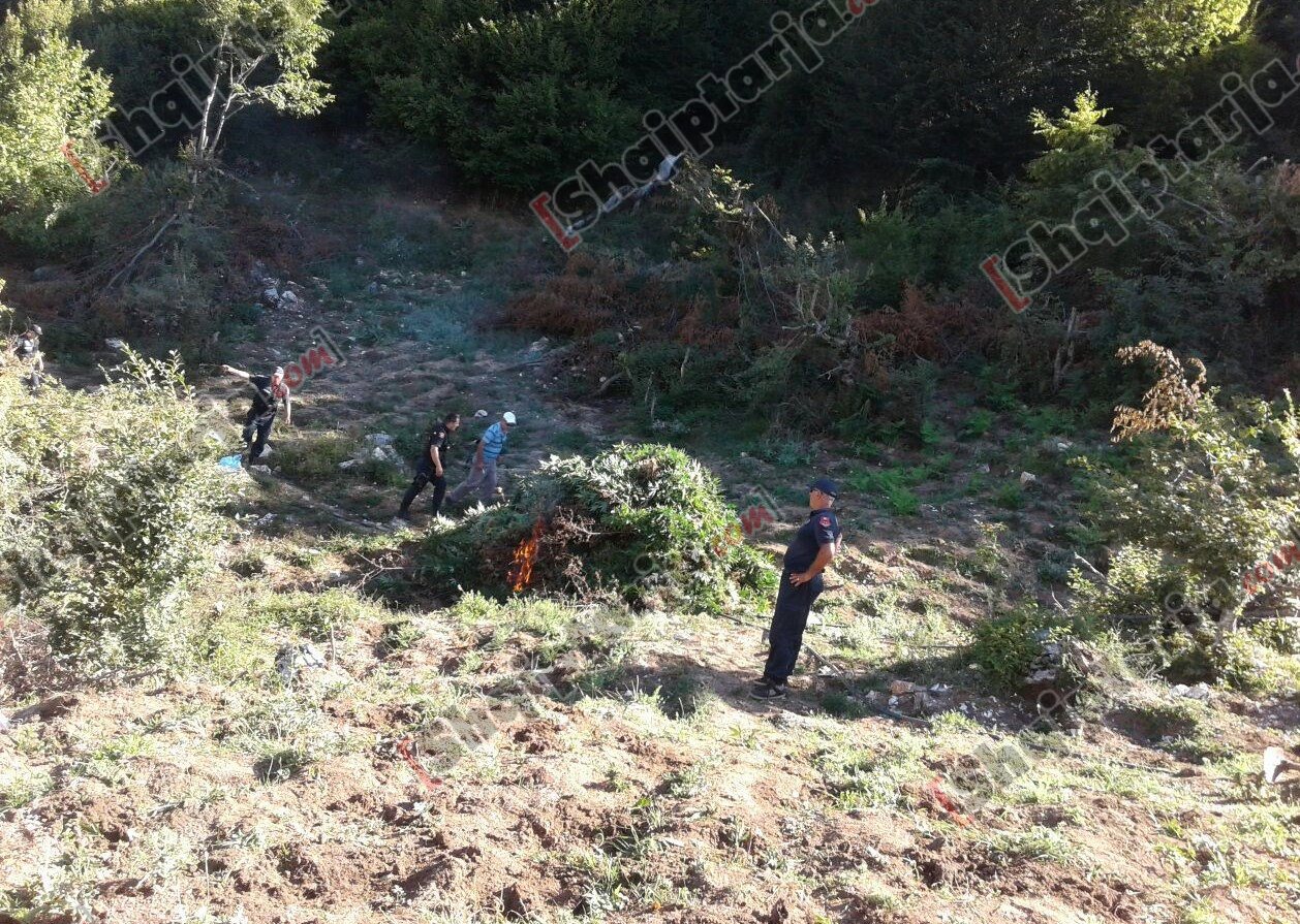 fushat korrje djegie