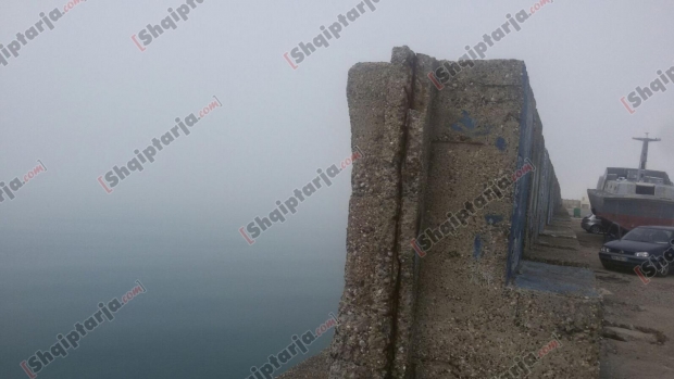 mjegull ne portin e dr