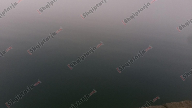 mjegull ne portin e dr