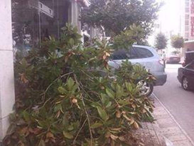 foto aksidenti sarande