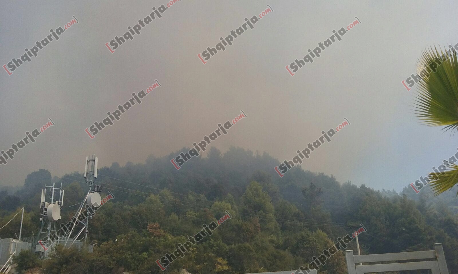 zjarri shengjin rana e hedhun