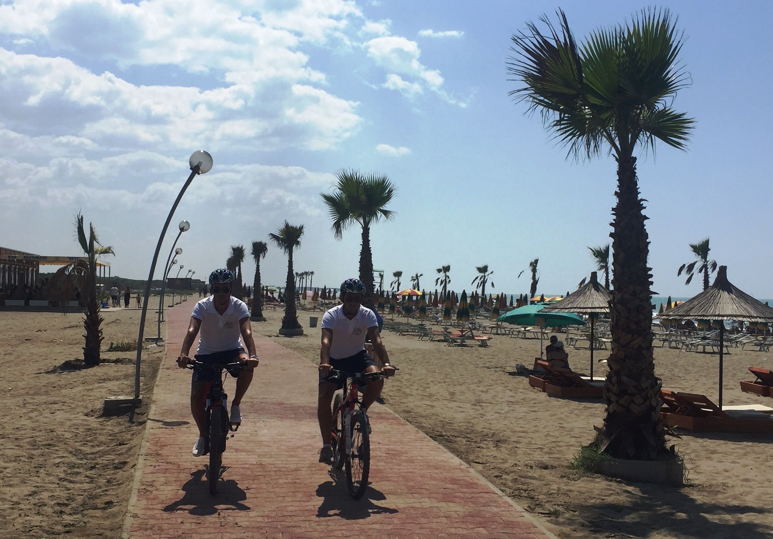 milva ekonomi spille