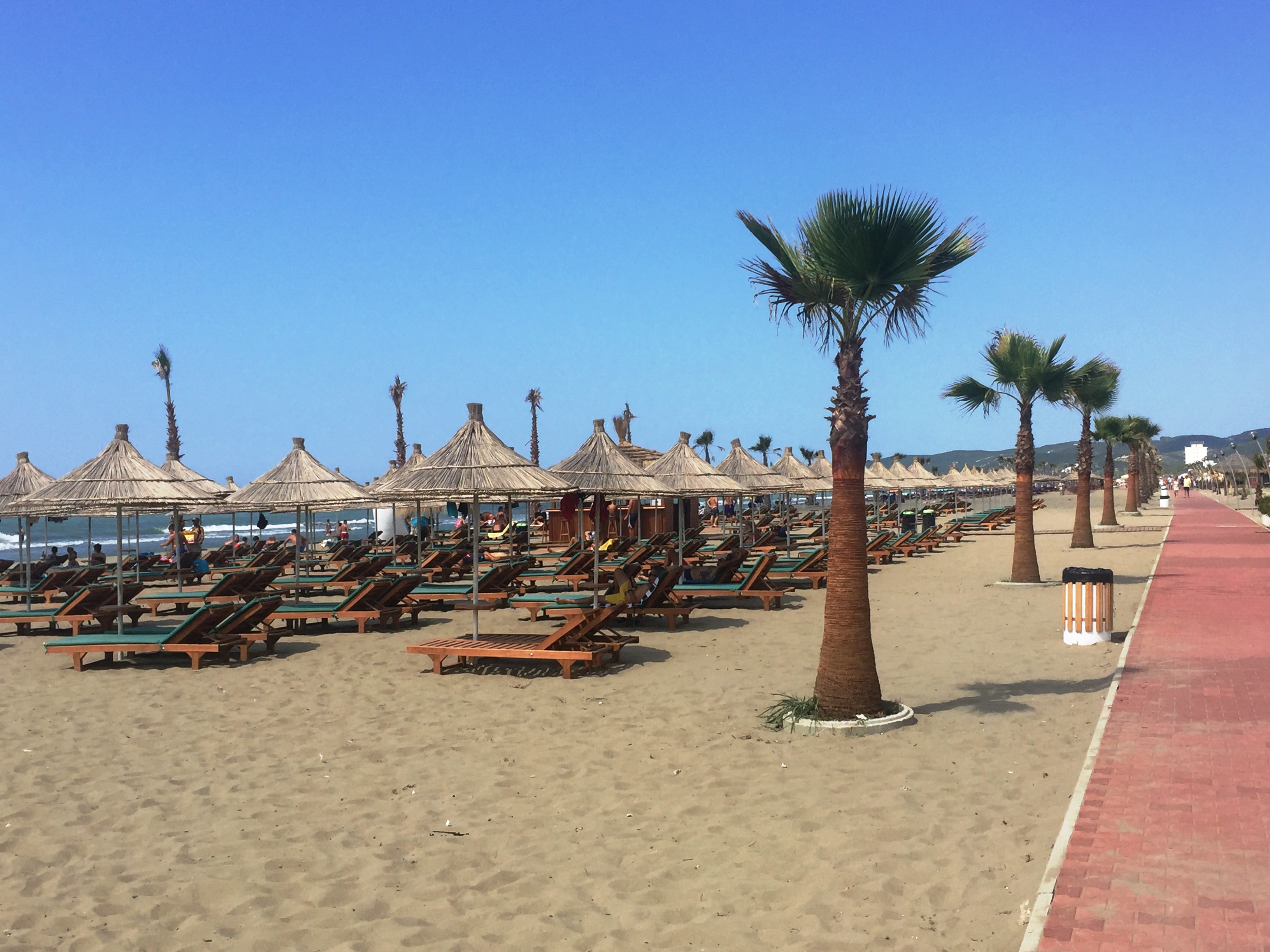 milva ekonomi spille