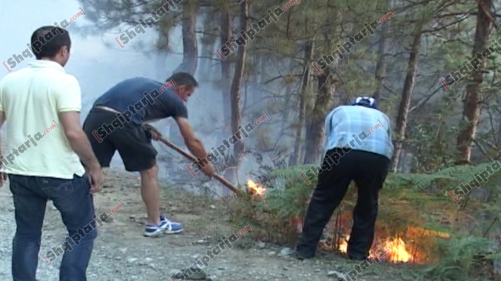 vijon zjarri mirdite