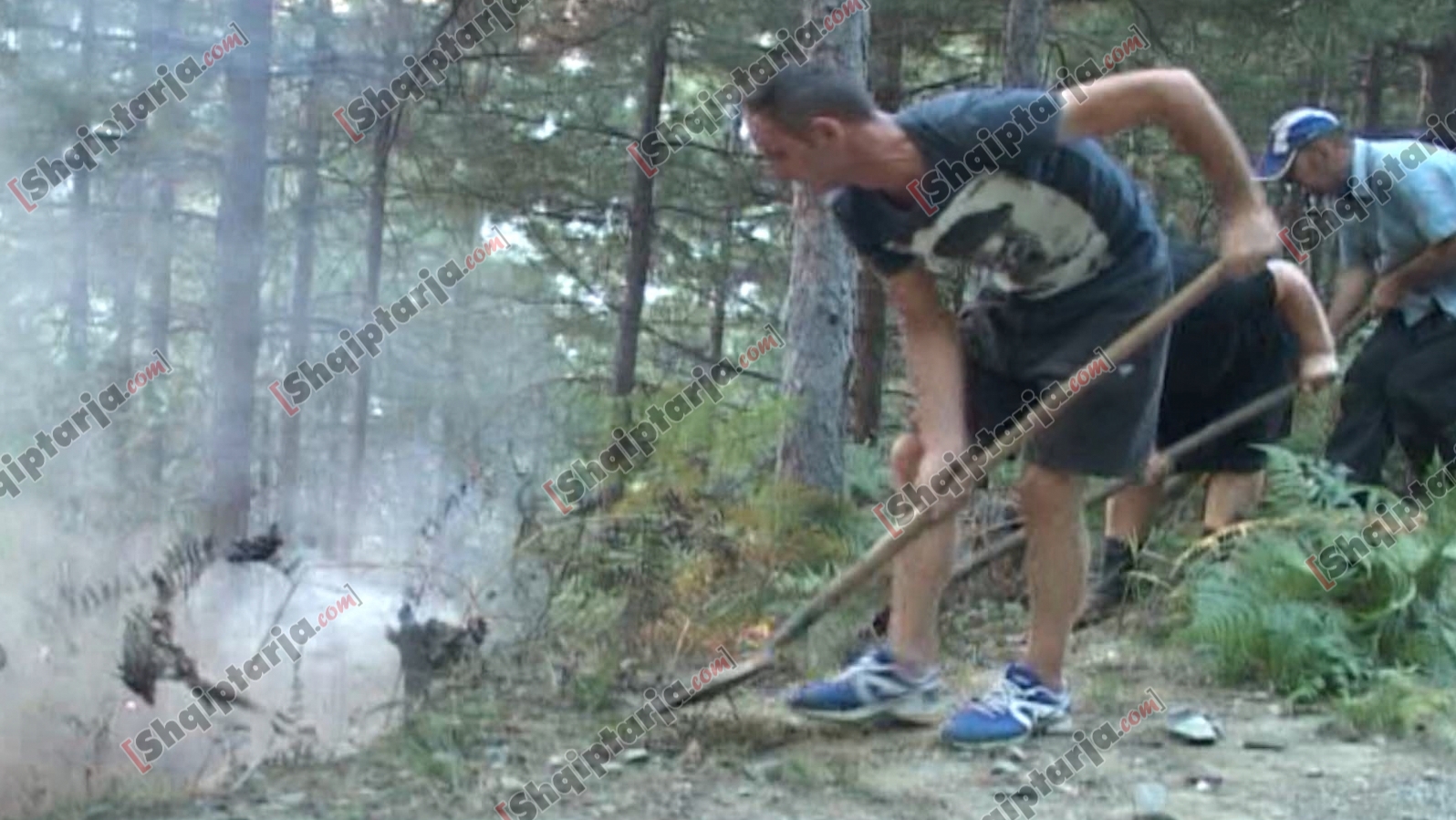 vijon zjarri mirdite