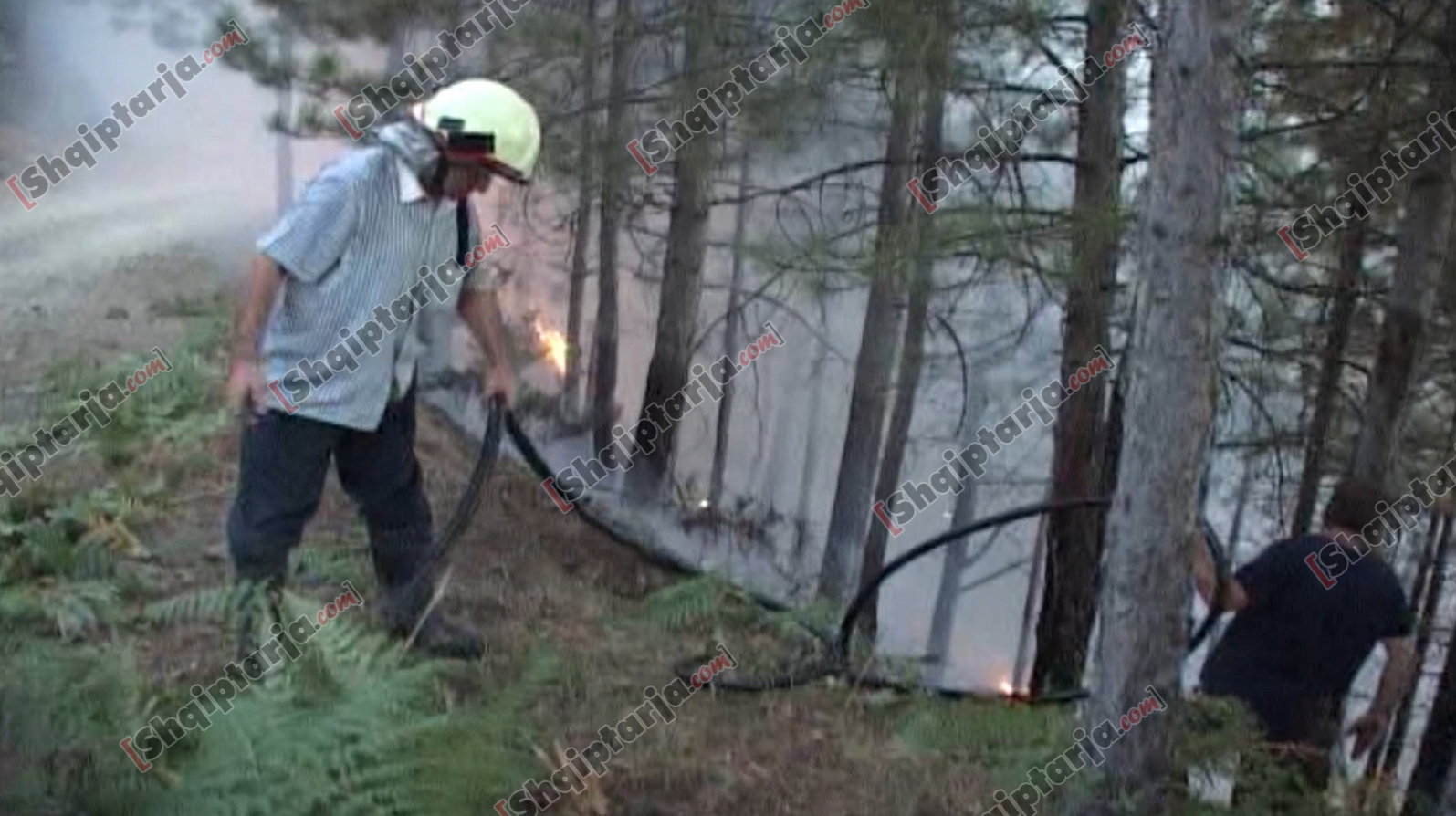 vijon zjarri mirdite