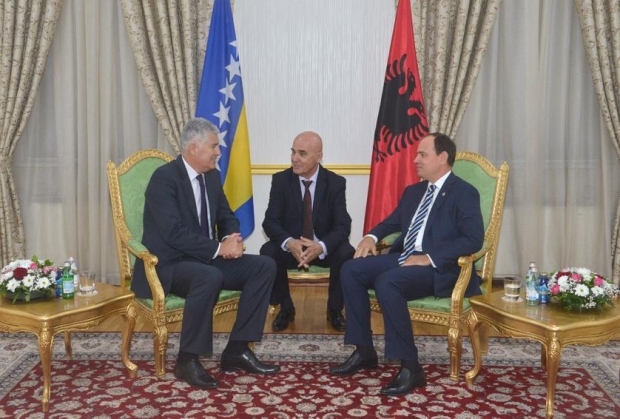 Dragan %u010Covi%u0107-Nishani