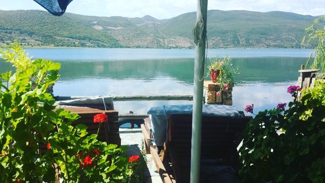 nga lungomarja drejt rozes