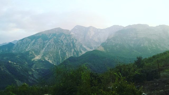 nga lungomarja drejt rozes