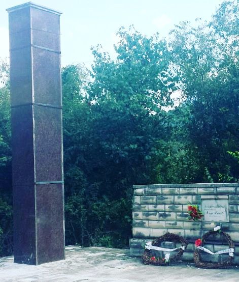 nga lungomarja drejt rozes