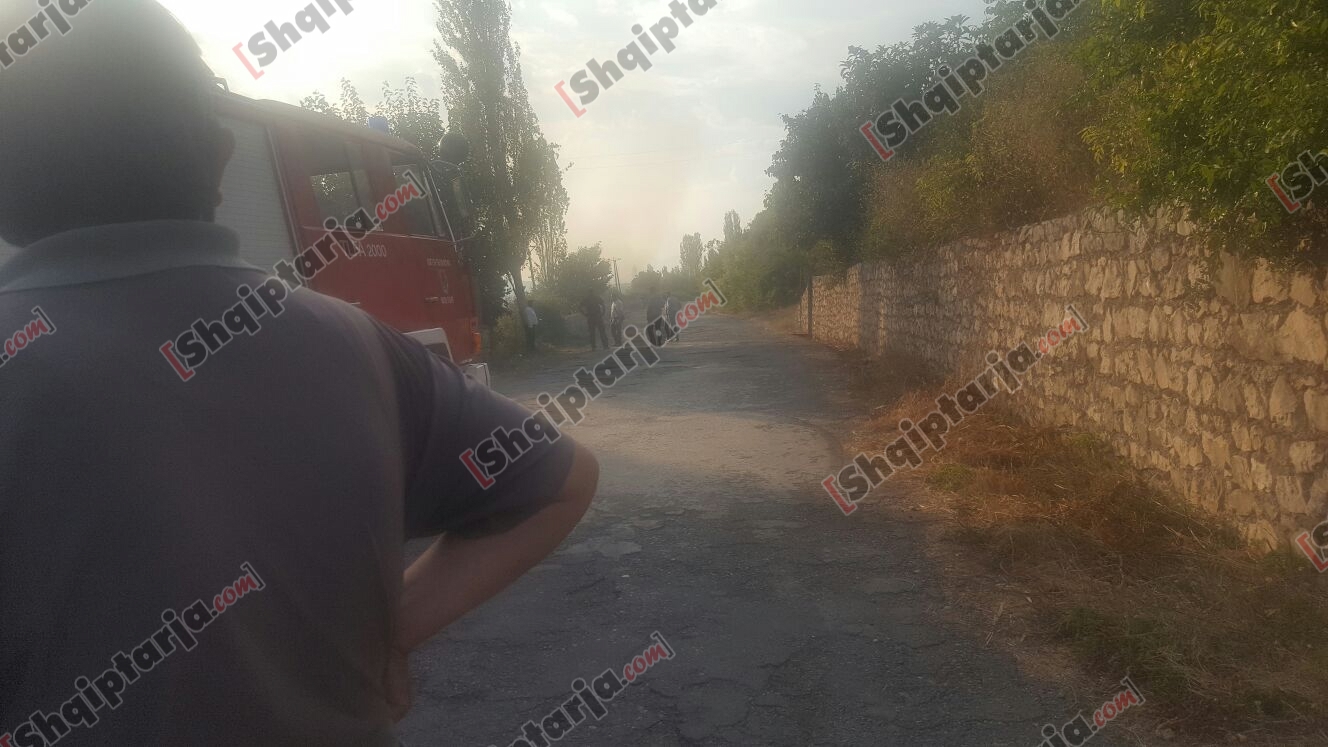 renea ne banesen e qoses