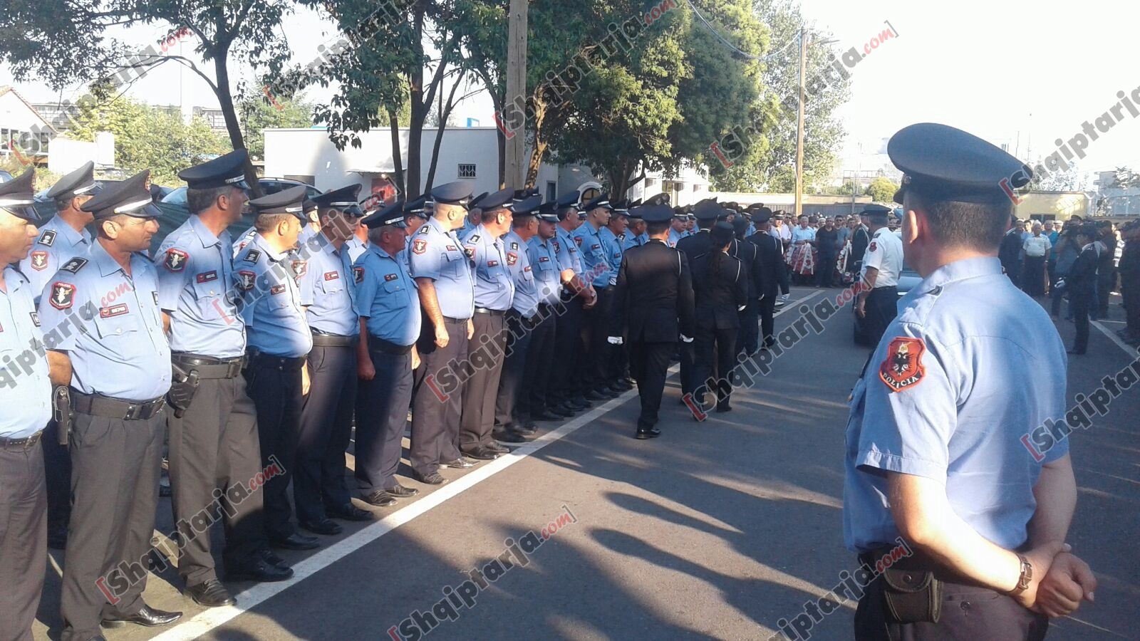 homazhet adrian kodra