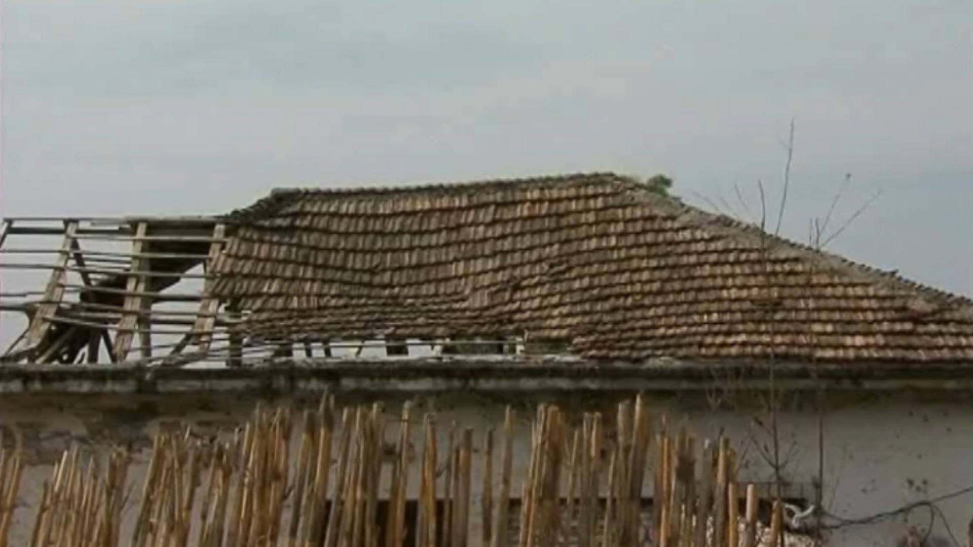 familja e varfer vlore