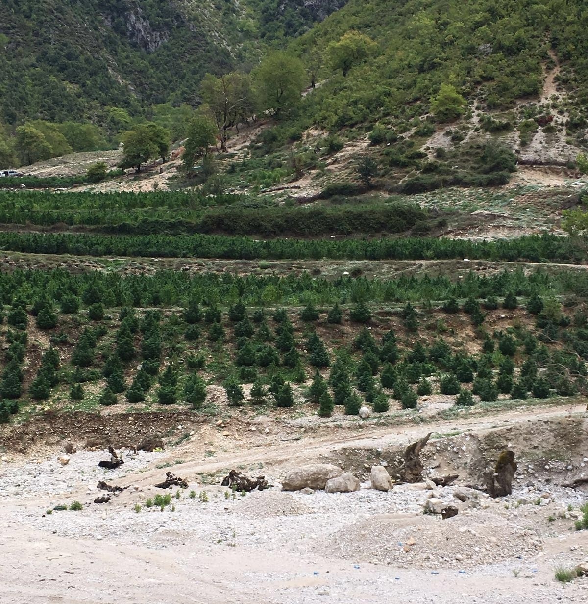 tepelene asgjesohen 27 300