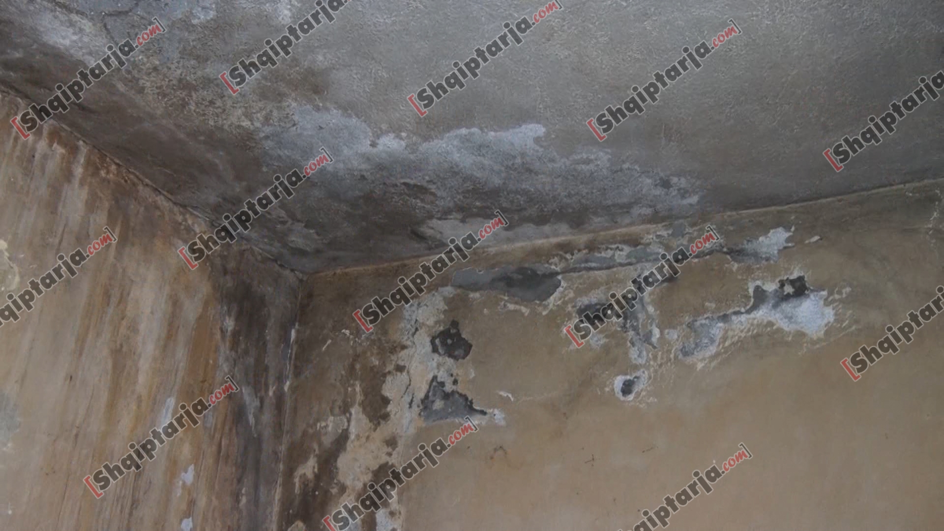 familja e varfer elbasan