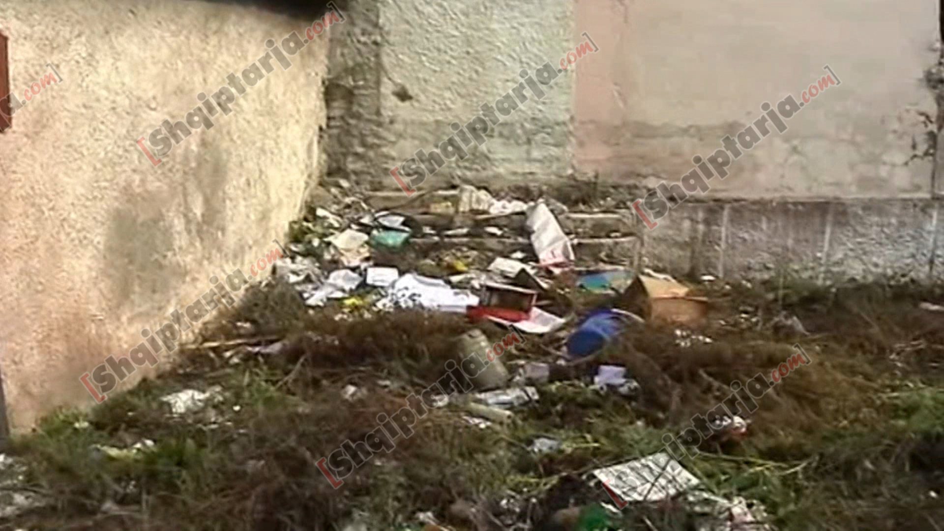 shkolla bakushe visha 