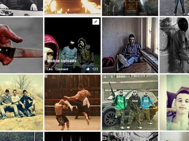 fabian mucllari, profil