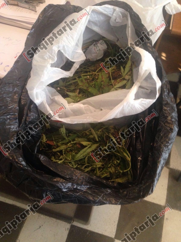 motoori grabitjes dhe hashashi