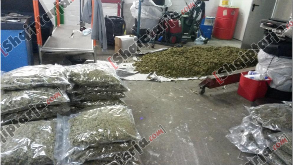 hashashi i kapur ne hannover