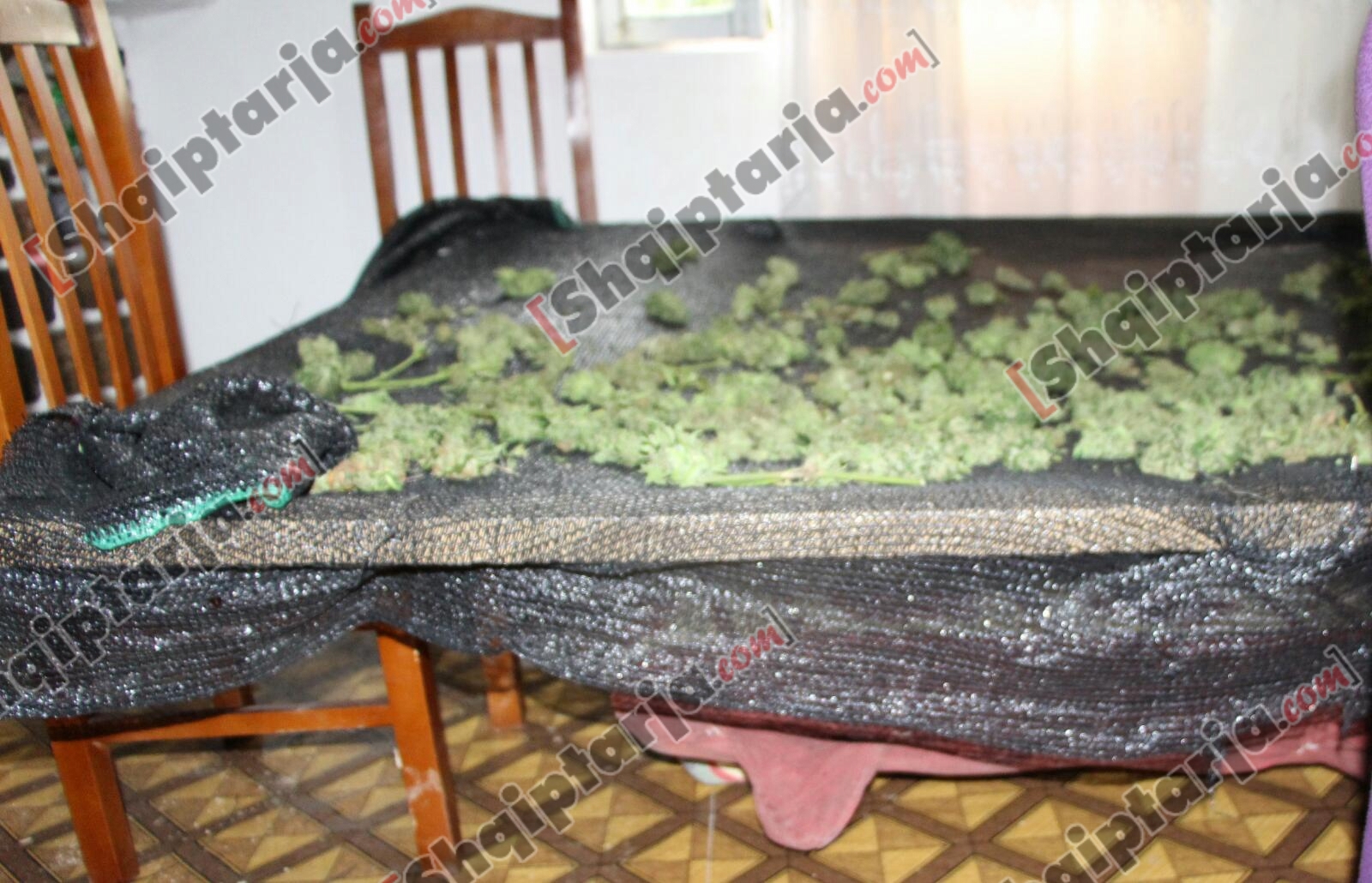 fuoristrada qe beri priten prokurorit