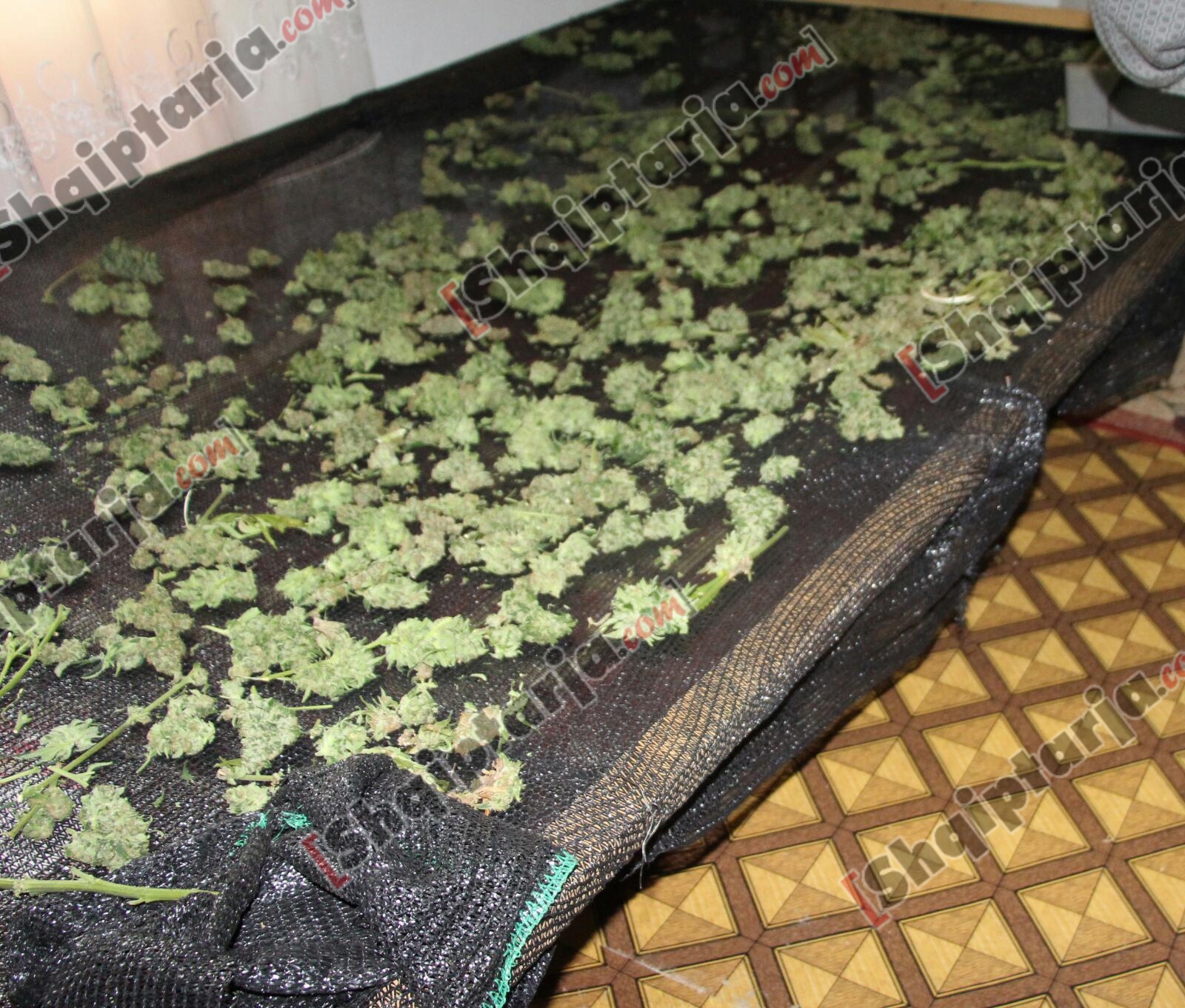 fuoristrada qe beri priten prokurorit