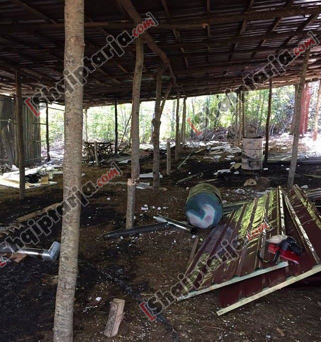 kapanoni hashashi pudja besnik